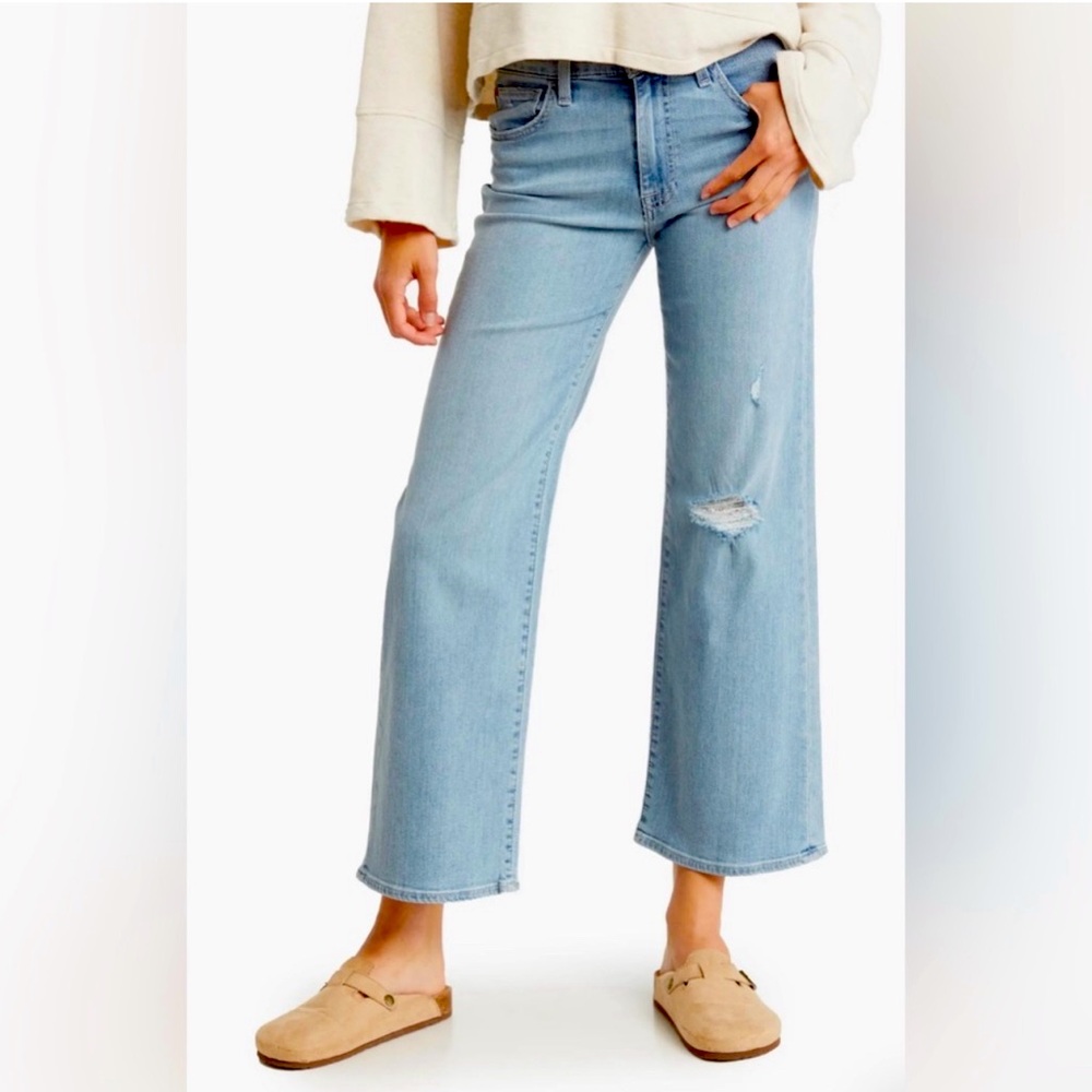 Hudson / Rosalie Distressed High Waist Wide Leg 
 / Aquarius / women’s 31